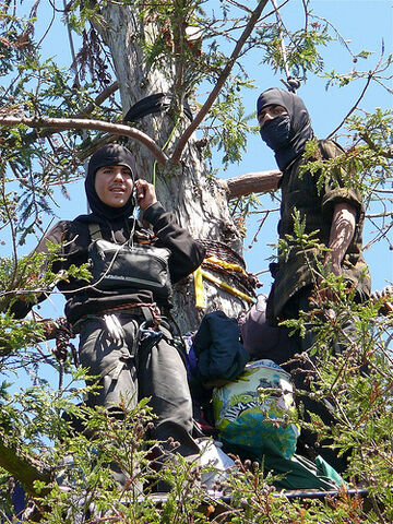 File:Berkeley Tree Sitters - UC Berkeley Memorial Oak Grove.jpg