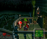 LM-Toad