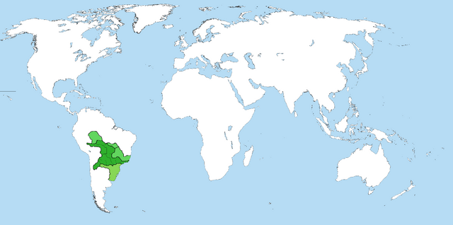 Archivo:DvvunBl.png