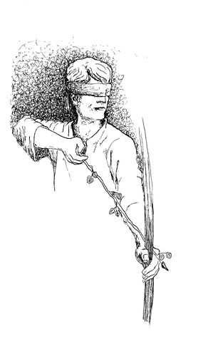 Datei:Hödr.jpg