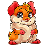 Kujo orange