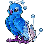 Osafo blue-0