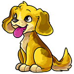 Rusty yellow-0