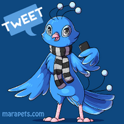Twitter