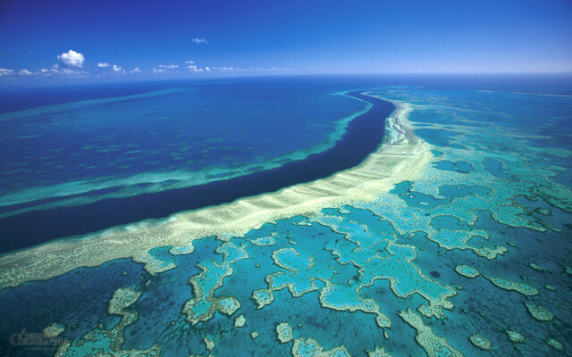 File:Great-barrier-reef-hardy.jpg