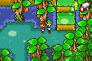 Bosque jiji.jpg