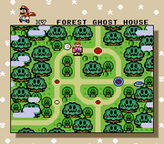 Forest-Of-Illusion-SMW