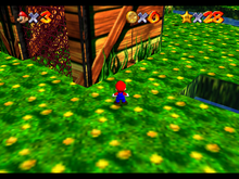Fungi Forest Star 5