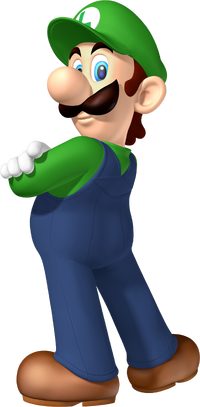 2008Luigi