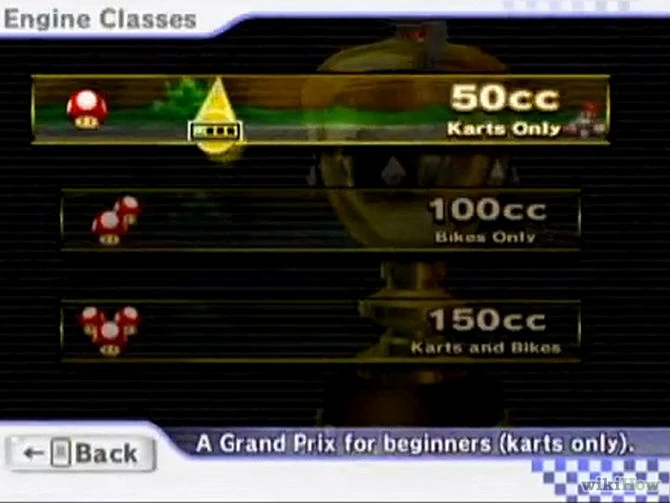 CC Mario Kart Wii Wiki FANDOM powered by Wikia