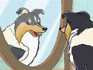 Carolinathedog