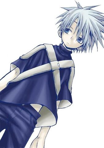 File:SuitofRaiden.jpg