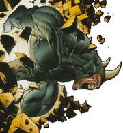 Rhino2