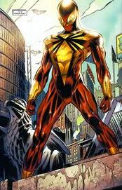 Iron-spider