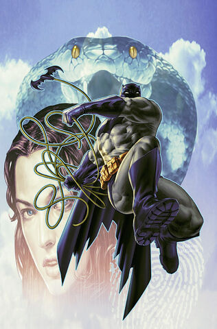 File:Batman 0517.jpg