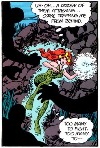 File:Mera 0019.jpg