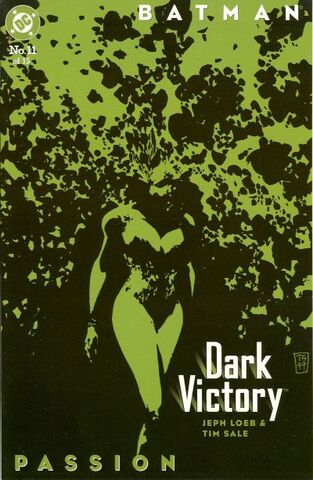 File:Batman Dark Victory 11.jpg