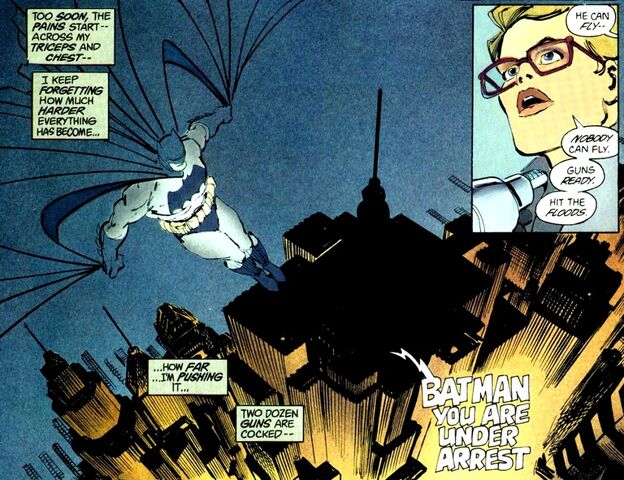 File:Batman Earth-31 018.jpg