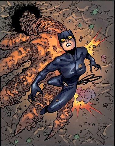 File:Catwoman 0085.jpg
