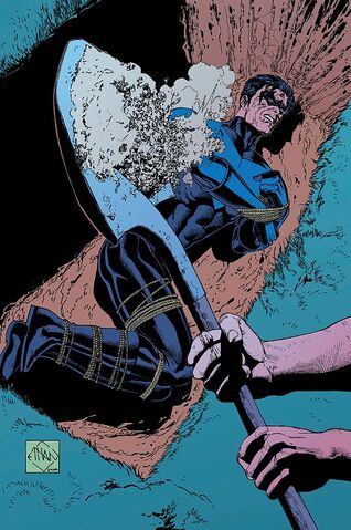 File:Nightwing 0058.jpg