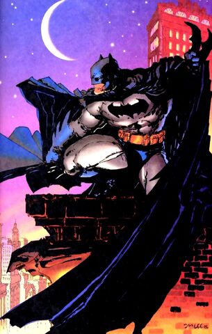 File:Batman 0207.jpg