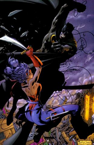 File:Batman 0657.jpg