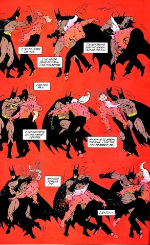 File:Batman 0481.jpg