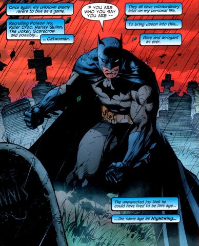 File:Batman 0352.jpg