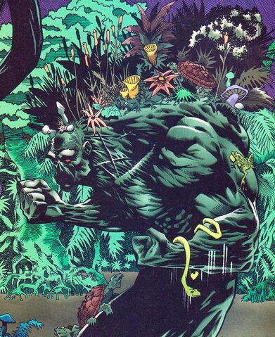 File:Swamp Thing 03.jpg