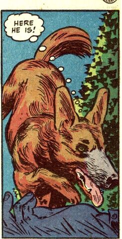 File:Streak Earth-Two 0001.jpg