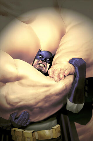 File:Batman 0568.jpg