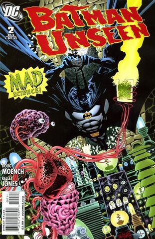 File:Batman Unseen 2.jpg
