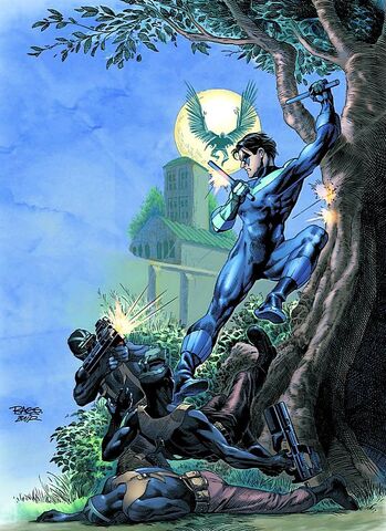 File:Nightwing 0067.jpg