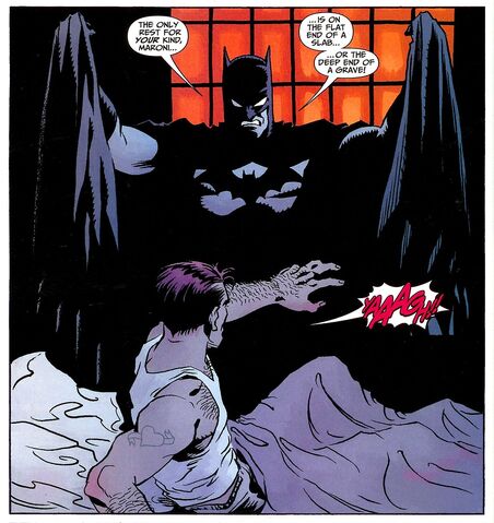 File:Batman 0495.jpg