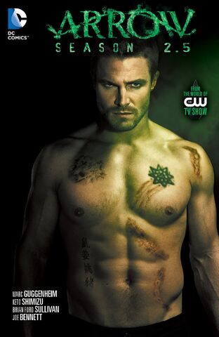 File:Arrow Season 2.5.jpg