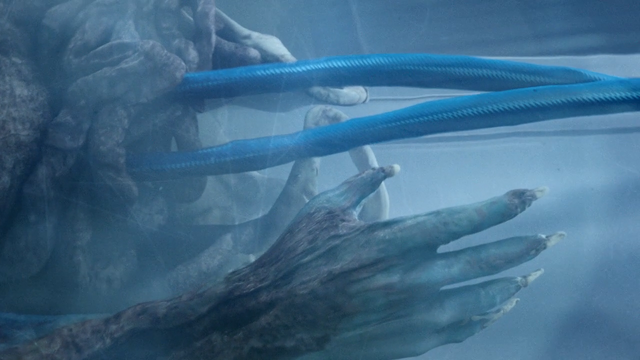 File:GH Cables.png