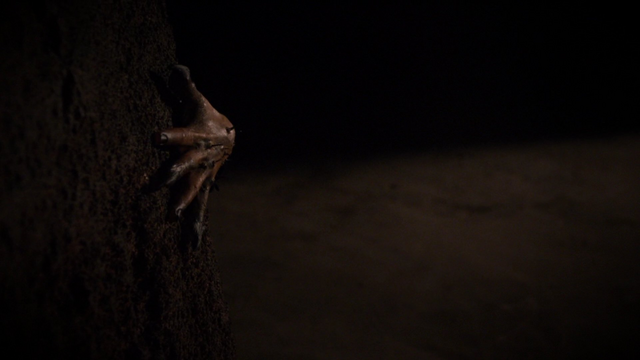 File:Raina Inhuman Hand.png