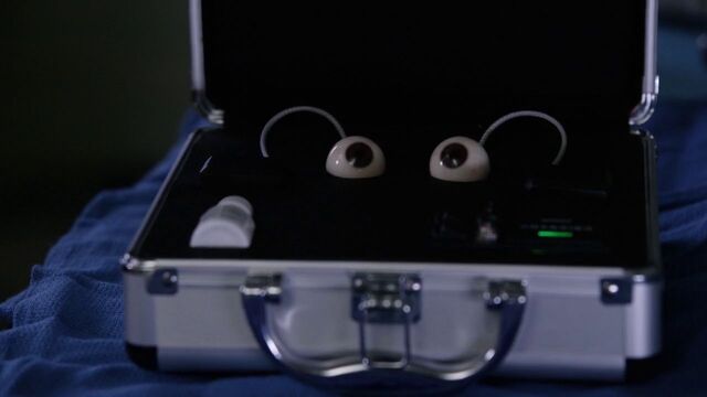File:Backscatter Eye.jpeg