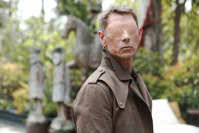 File:Scars 2.jpg