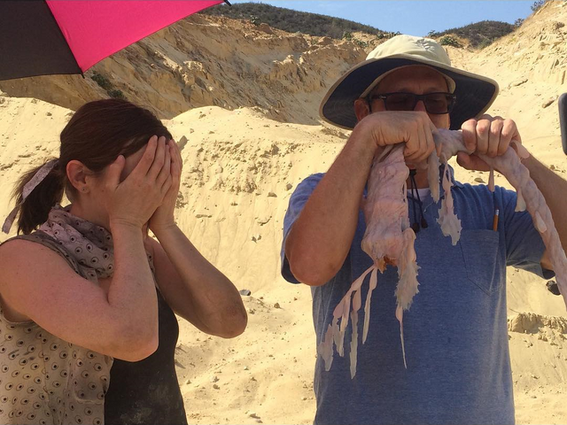 File:BTS Tentacled Creature.png