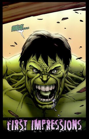 File:Hulk Fury.jpeg