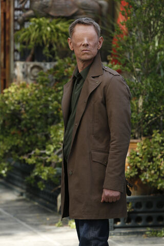 File:Scars 9.jpg