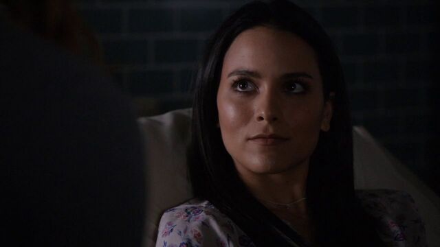 File:Agent-33-talks-about-Ward-to-Morse.jpg