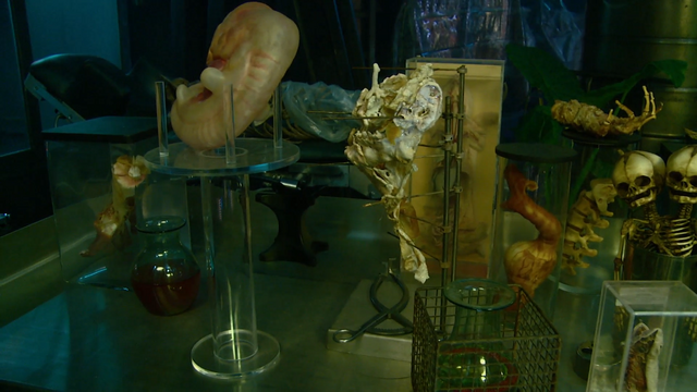File:Collector 6.png