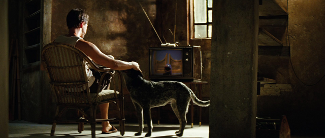 File:Incredible-hulk-movie-screencaps.com-457.png