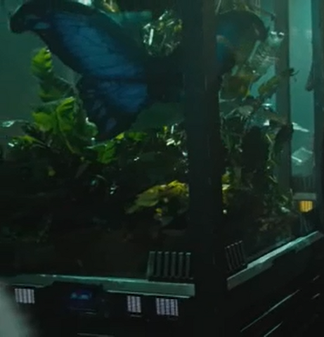 File:Giant Butterfly.png