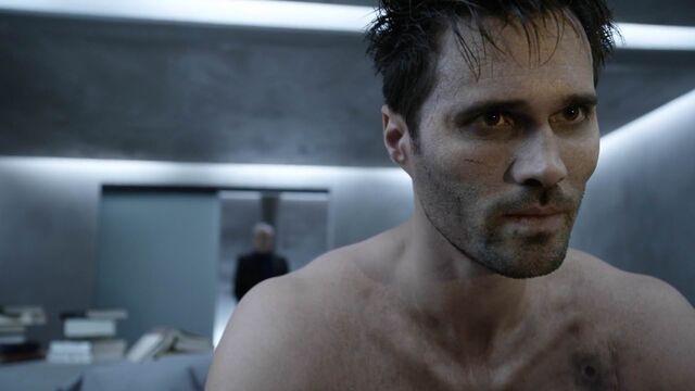 File:Hive-Watches-Television.jpg