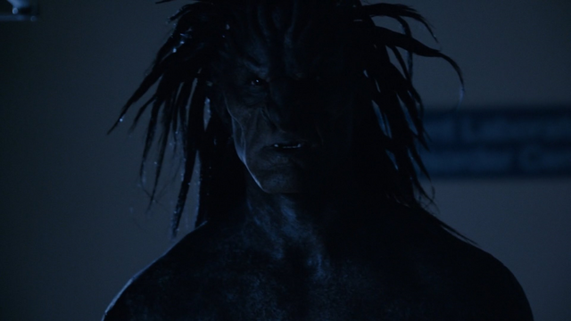 File:Lash face.png
