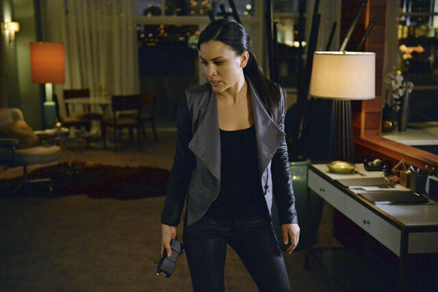 File:Agentthirtythree.jpg