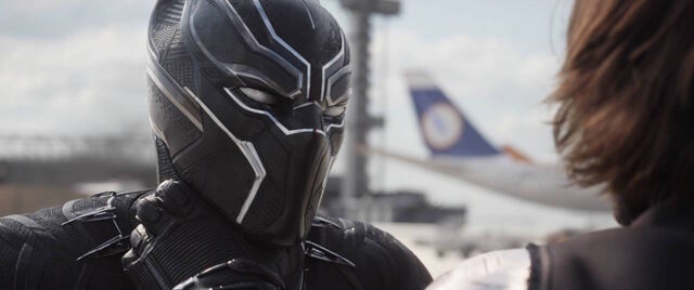 File:BlackPanther-WhyDidYouRun.jpg